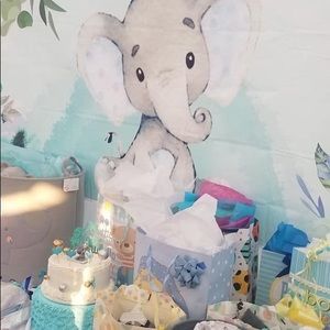 Meet your Posher, Ana